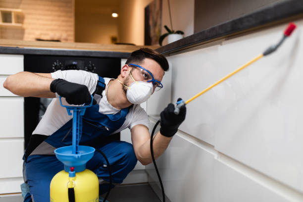 Flea Control Services in Bayou Vista, LA