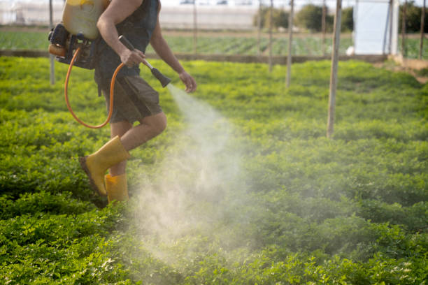 Pest Control for Restaurants in Bayou Vista, LA