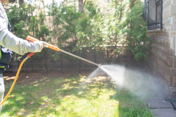 Best Exterminator Services  in Bayou Vista, LA