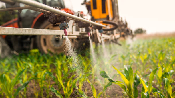 Best Commercial Pest Control Services  in Bayou Vista, LA